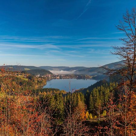 Ferienhaus Schwarzwaldstern, Todtnau, 3 Schlafzimmer Eksteriør bilde