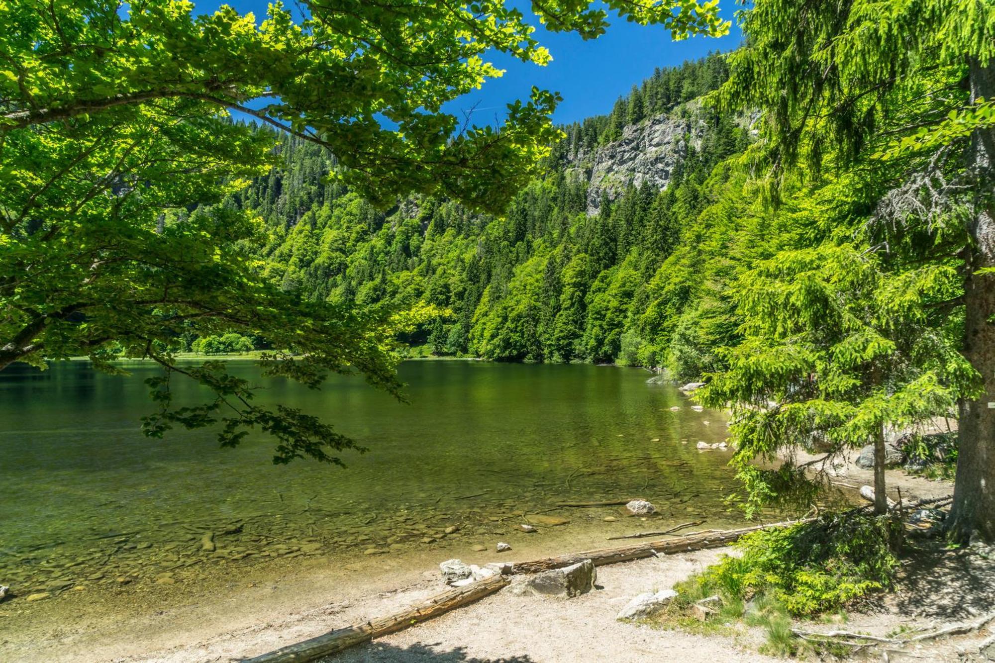 Ferienhaus Schwarzwaldstern, Todtnau, 3 Schlafzimmer Eksteriør bilde